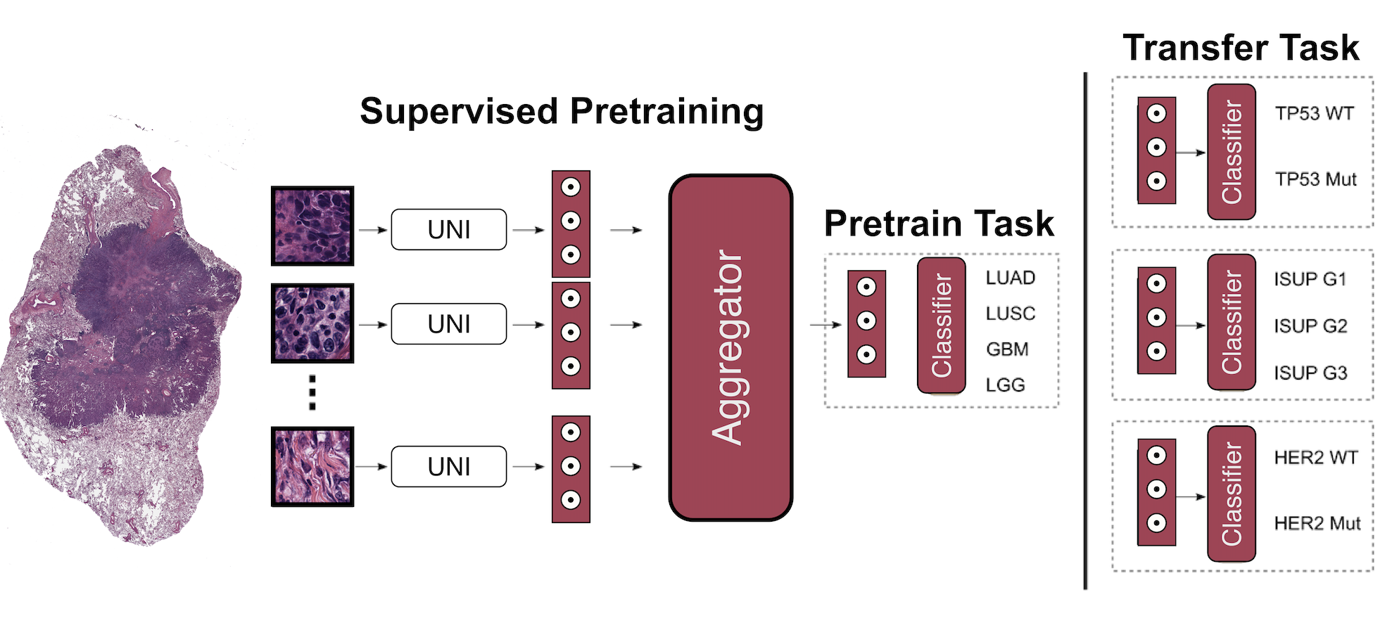 icml_preview.png
